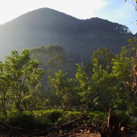 Ceylon Rich Leaves Ella Bed & Breakfast Екстериор снимка